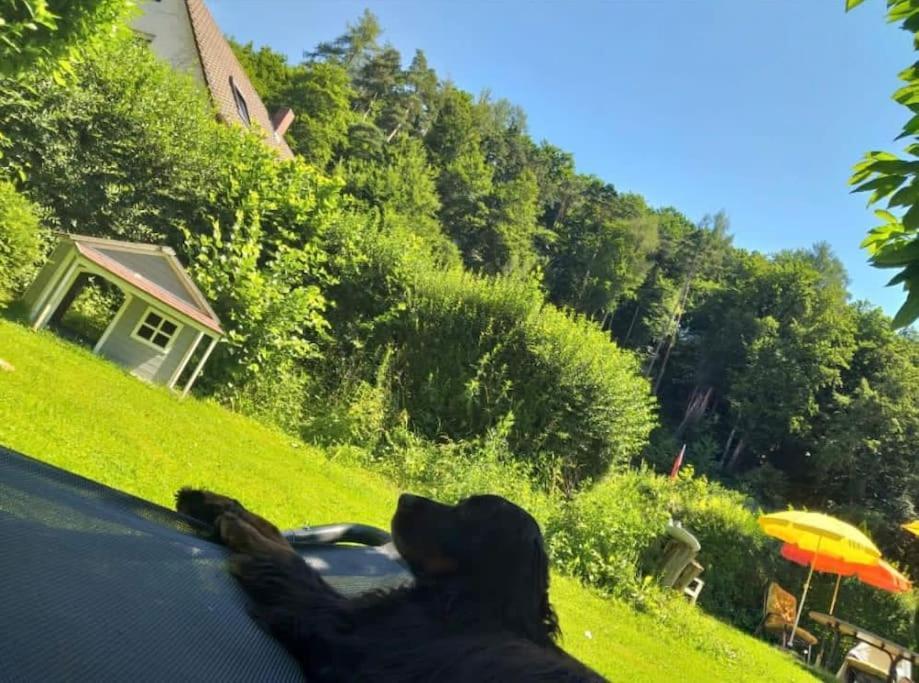 Ferienwohnung - Gruene Oase Stockach Exteriér fotografie